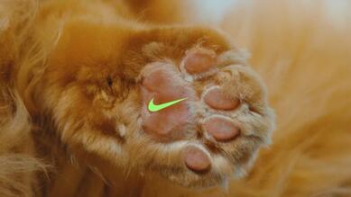 Nike Japan